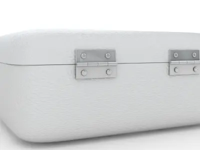 Rugged Security Case Nickel Platet 3D model