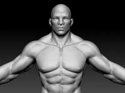 Male body 05 3D model