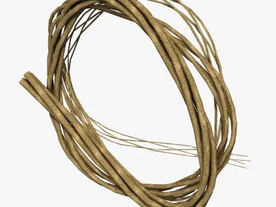Rope from Four Cords 3D model