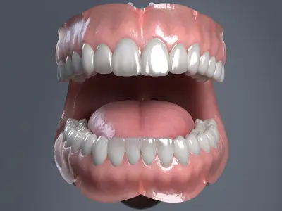  Human Mouth 