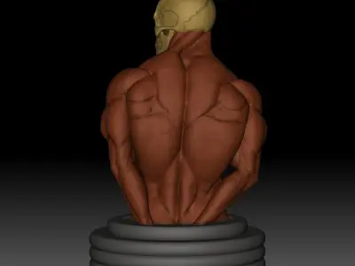 Side Triceps Pose 3D print model