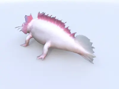 Axolotl 3D model purchase