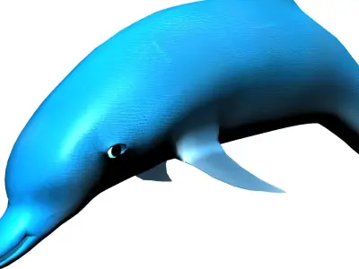 dolphin lowpoly 3D model buy