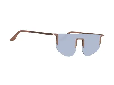 Sky Tint Sunglasses 3D model