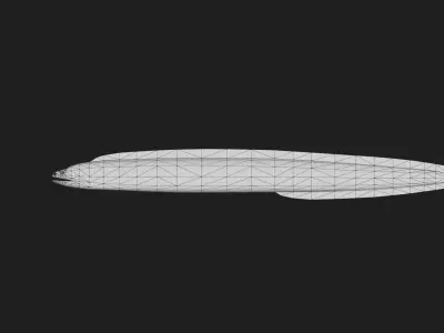 Lacedmoray Low-poly 3D model