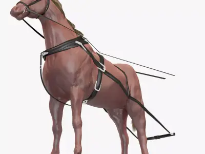 horse for a carriage model 3D model