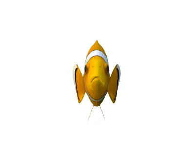 Realistic Clown Fish 3D Model Low-poly 3D model