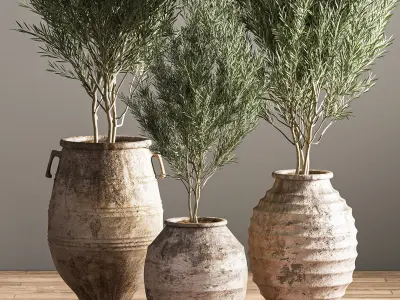 indoor plant set 16 3D model