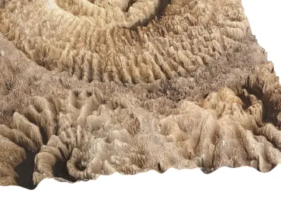 Ammonite Fossil 3D model