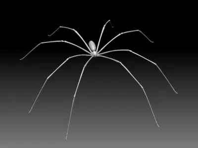Daddy Long Legs Low-poly 3D model