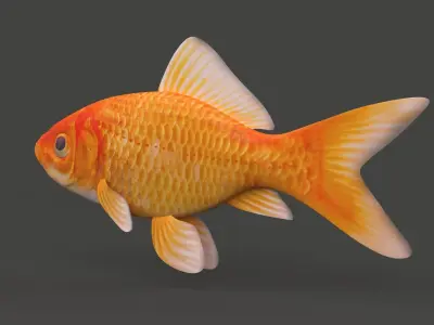 Gold Fish 3D model get