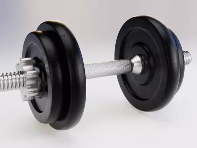 Dumbbell 3D Model pair of dumbbells 3D model