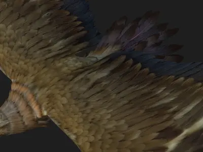 Eagle-B1 3D model