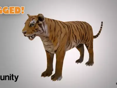 Tiger Low-poly 3D model get