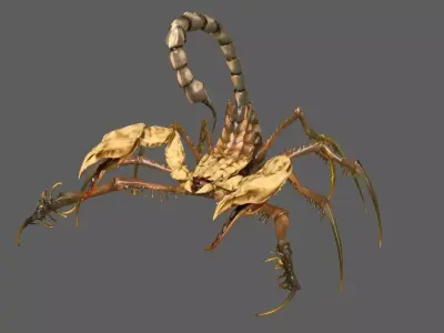 Scorpion 3D model get