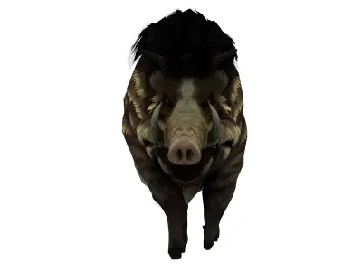 Wild Boar Creature 3D Model  Rigged Game Ready Fantasy Animal Low-poly 3D model