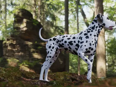 Spotted Standing Dalmatian Dog 3D model
