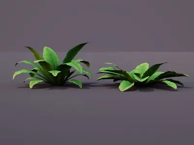 Bird Nest Fern Plant Low-poly 3D model