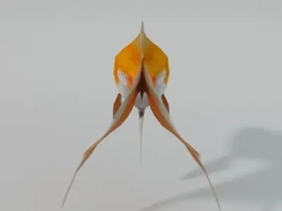 Goldfish Low-poly 3D model purchase