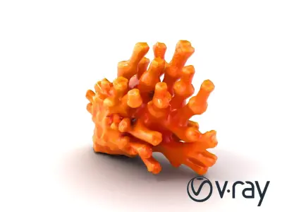 Single Coral Fan Shape Textured Vibrant Model Pack Low-poly 3D model