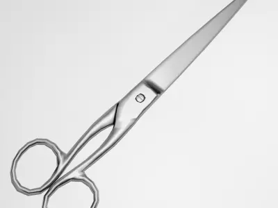Scissors pair of 3D model 2