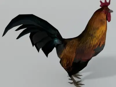 Rooster Low-poly 3D model purchase