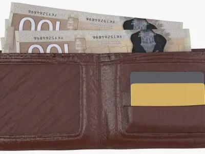 Canada 100 Dollar Wallet Money Purse 3D model