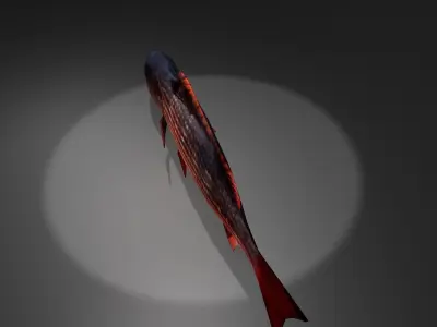Red Snapper Low-poly 3D model
