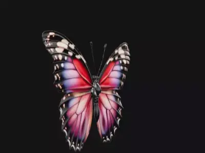 colorful butterfly  Free 3D model