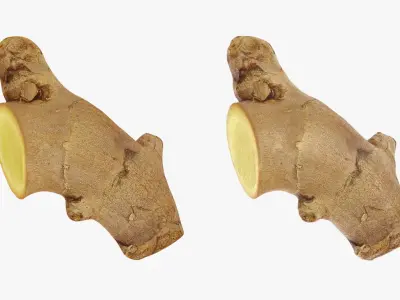 Ginger Slices Collection 3D model