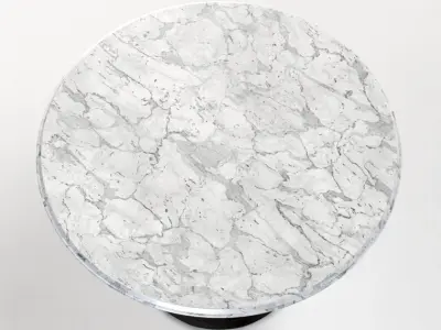 20th C Chrysanthemum Brasserie Table 3D model