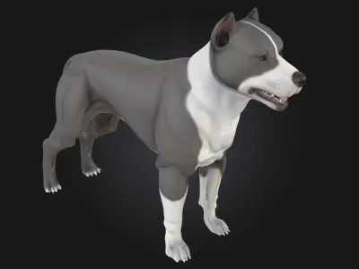 Smiling Pup Cute Dog Model  3D model