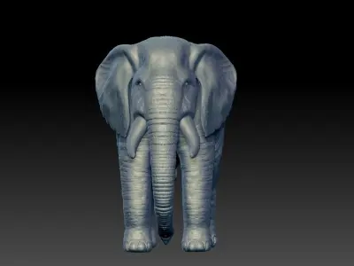 Realistic Elephant 3D model on platform 3D model