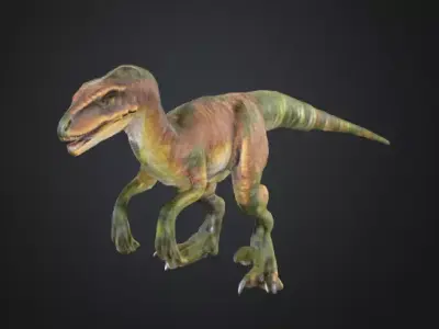 Realistic Velociraptor 3D Model Low-poly 3D model