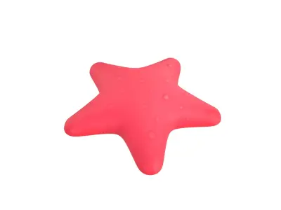 Starfish star shaped toy 3D model