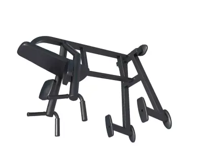 leg raise machine - Knee Lift Station - Fitness 3D print model