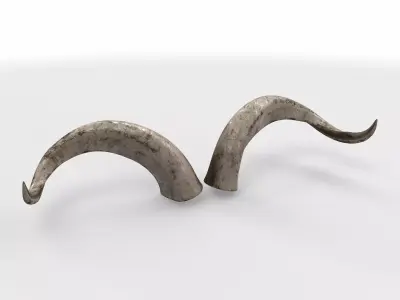 rolled horns 01 3D model purchase