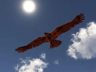 Golden Eagle Low-poly 3D model