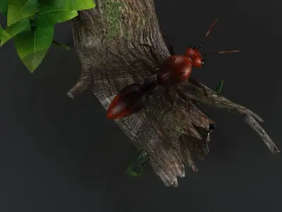 flying ant insect gameready bug wild kritrim 3D model