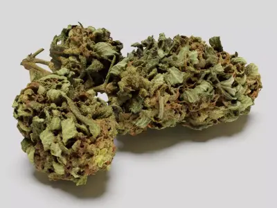 Cannabis Bud 05 3D model