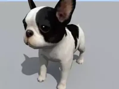 Bull dog Free 3D model