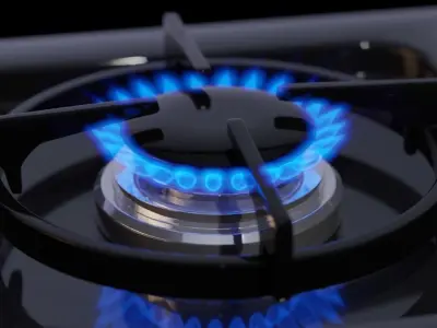 Gas Stove Flames 3D model