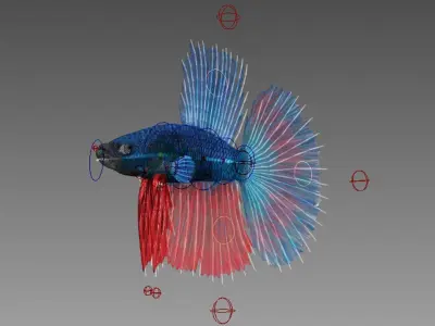 3DS Max Betta Rigged Low-poly 3D model