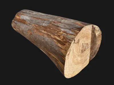 Tree trunk wood 3d scan highpoly 3D model by Shutters