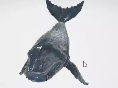 Realistic Blue Whale 3D Model 3D model