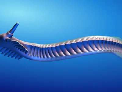Pikaia 3D model