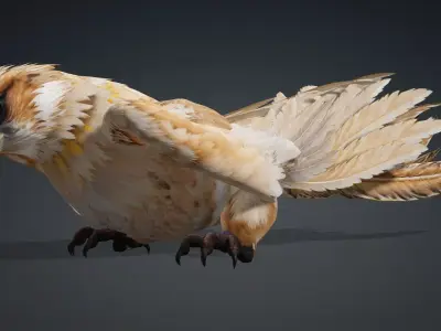 Hawk-A5 3D model