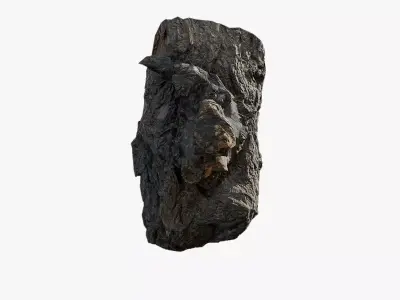 Anydrafts Salix matsudana Burl 01 Low-poly 3D model