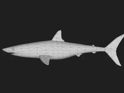 Shortfinmakoshark Low-poly 3D model