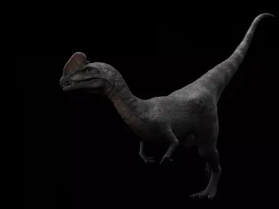 Dilophosaurus Dinosaur Low-poly 3D model purchase